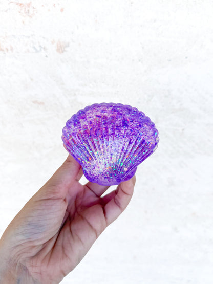 Seashell Squishies